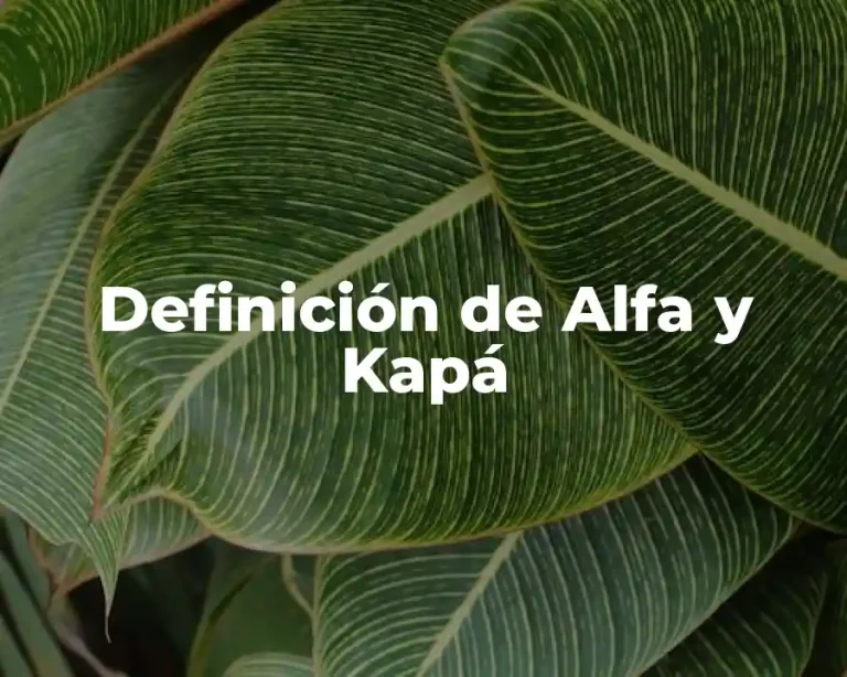 Definición de Alfa y Kapá
