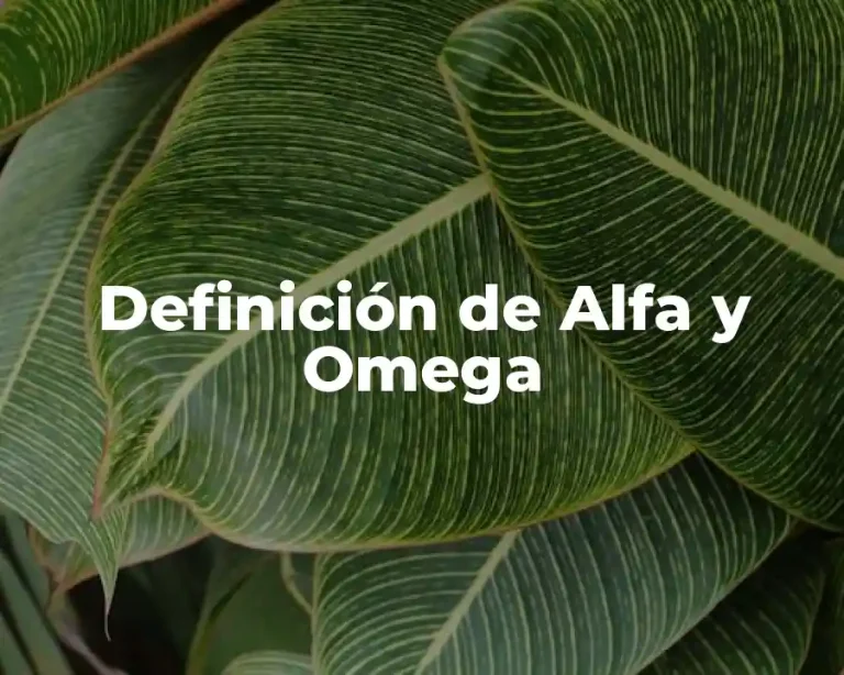 Definición de Alfa y Omega