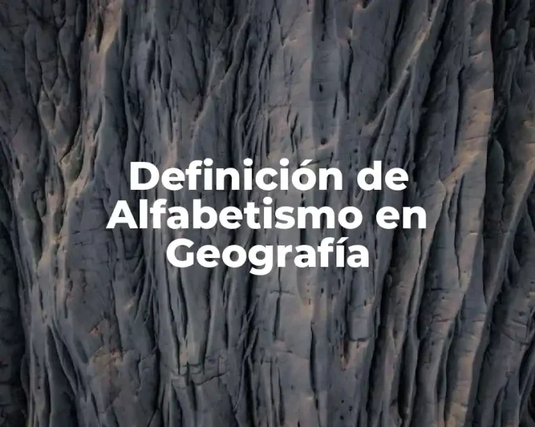 Definición de Alfabetismo en Geografía