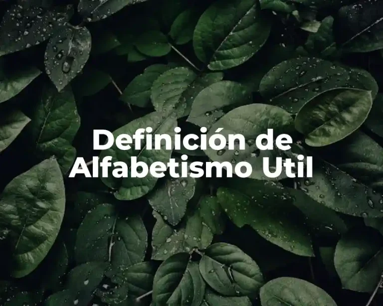 Definición de Alfabetismo Util