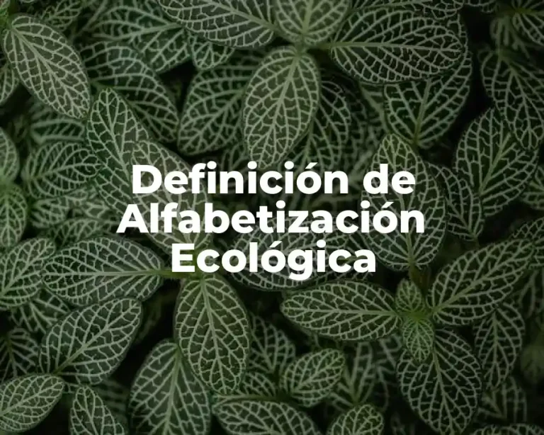 Definición de Alfabetización Ecológica