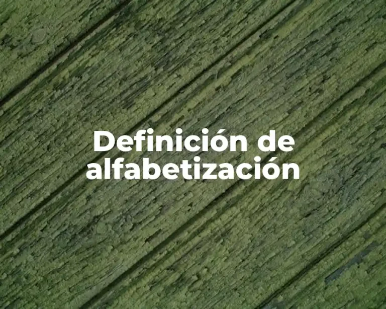 Definición de alfabetización