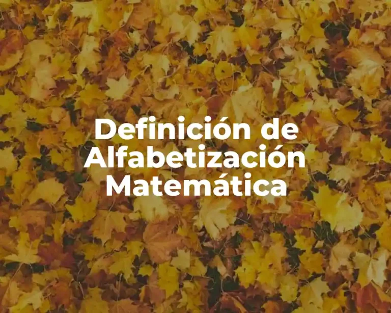Definición de Alfabetización Matemática