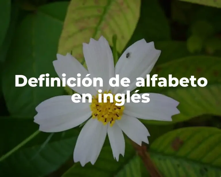 Definición de alfabeto en inglés