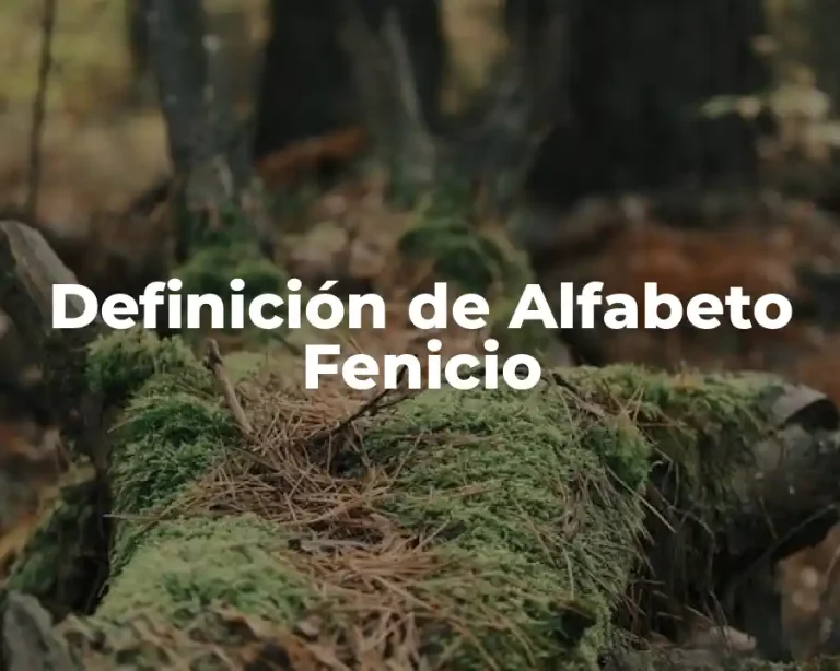 Definición de Alfabeto Fenicio