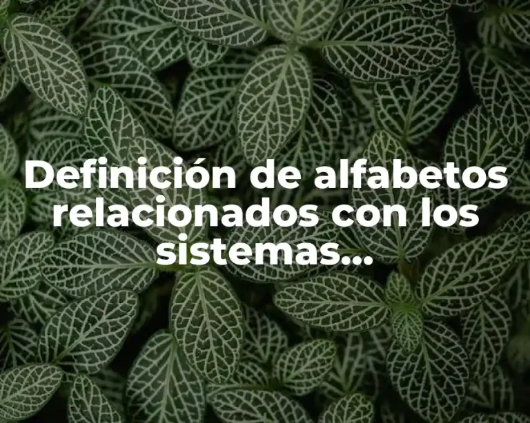 Definición de alfabetos relacionados con los sistemas computacionales