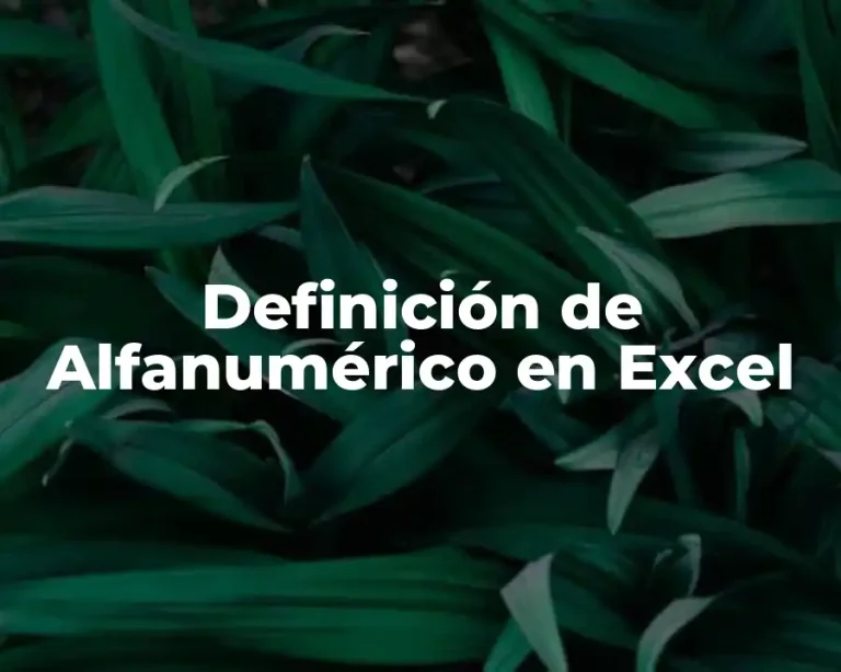 Definición de Alfanumérico en Excel