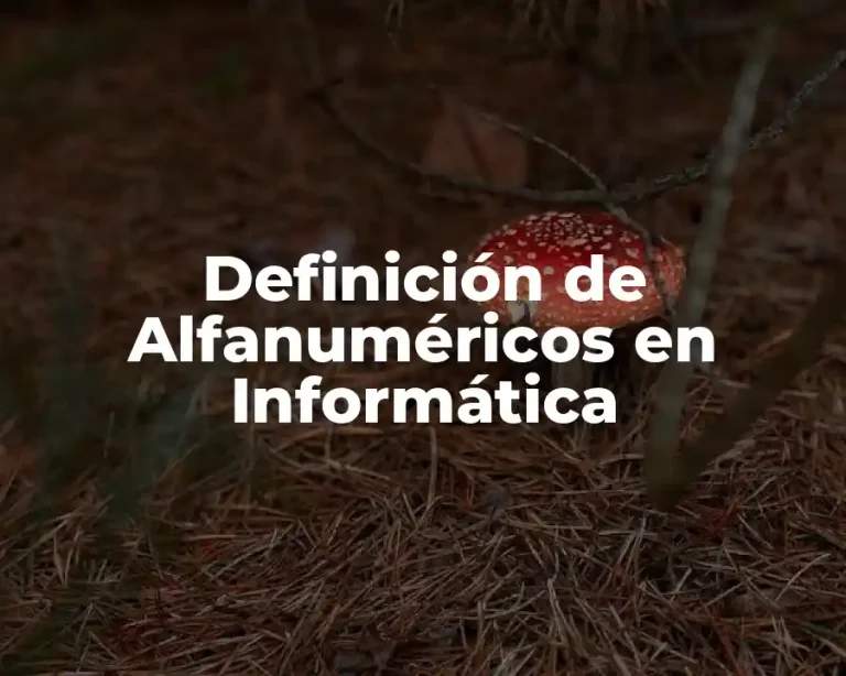 Definición de Alfanuméricos en Informática