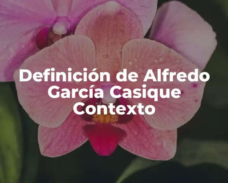 Definición de Alfredo García Casique Contexto