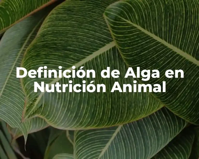 Definición de Alga en Nutrición Animal