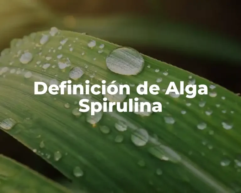 Definición de Alga Spirulina