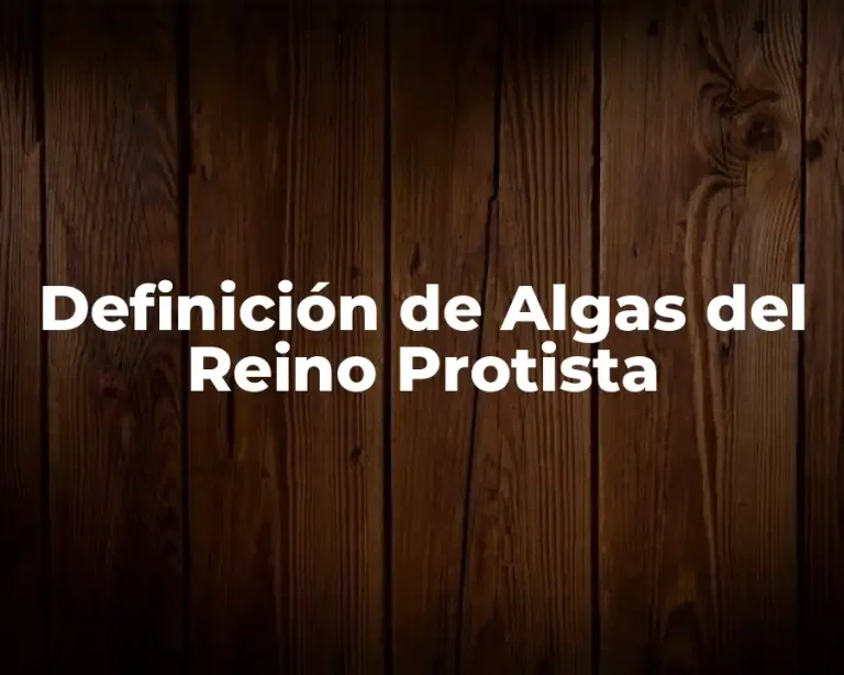Definición de Algas del Reino Protista