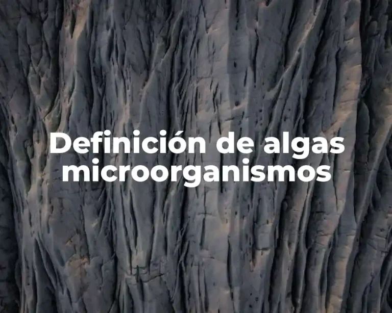 Definición de algas microorganismos