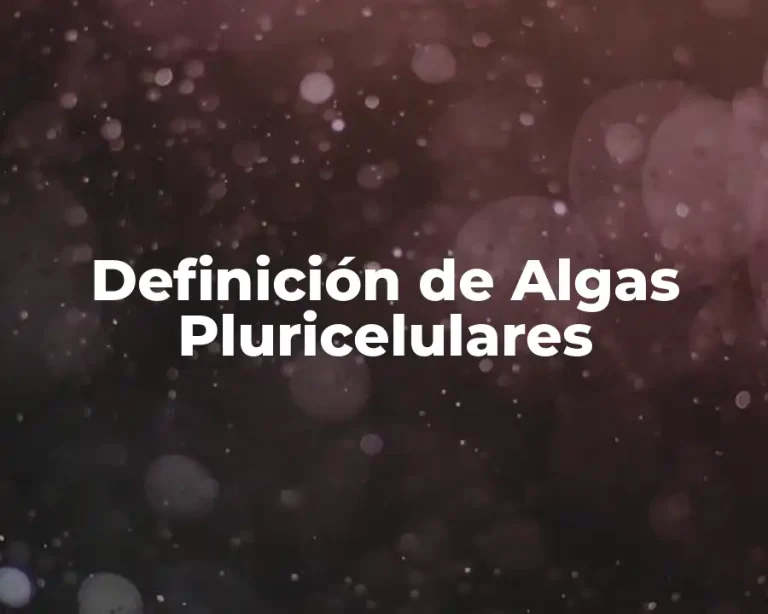 Definición de Algas Pluricelulares
