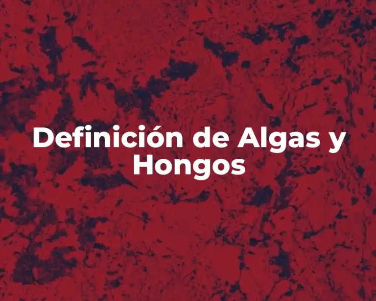 Definición de Algas y Hongos