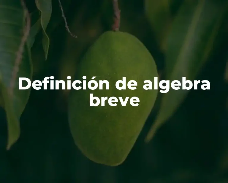 Definición de algebra breve