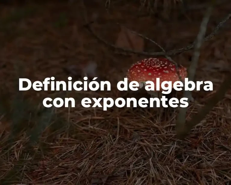 Definición de algebra con exponentes
