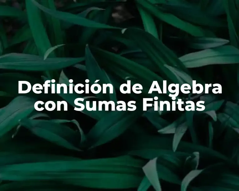 Definición de Algebra con Sumas Finitas
