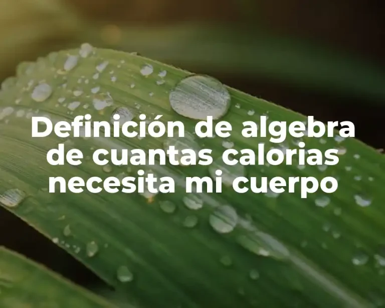 Definición de algebra de cuantas calorias necesita mi cuerpo