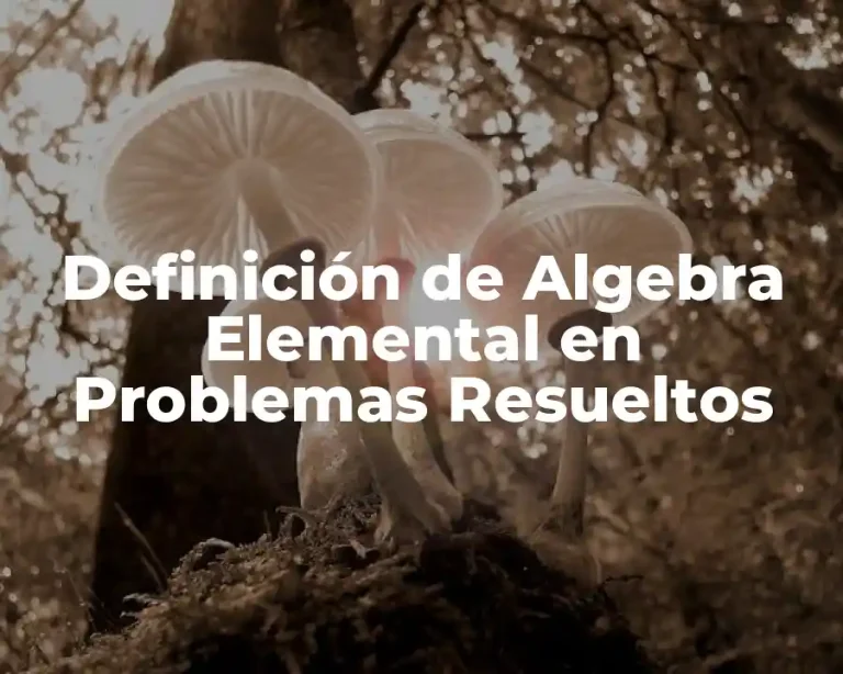 Definición de Algebra Elemental en Problemas Resueltos