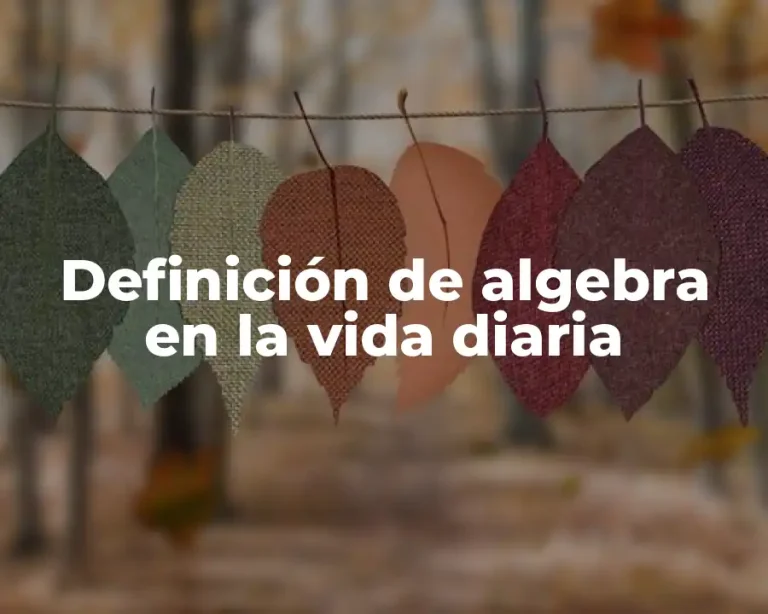 Definición de algebra en la vida diaria