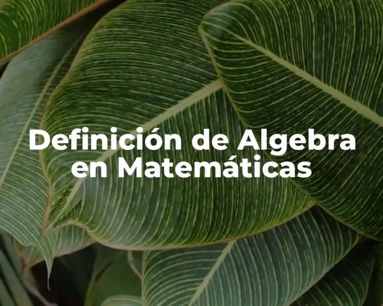 Definición de Algebra en Matemáticas