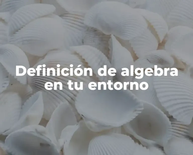Definición de algebra en tu entorno