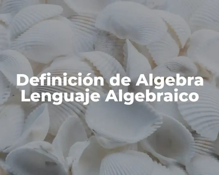 Definición de Algebra Lenguaje Algebraico
