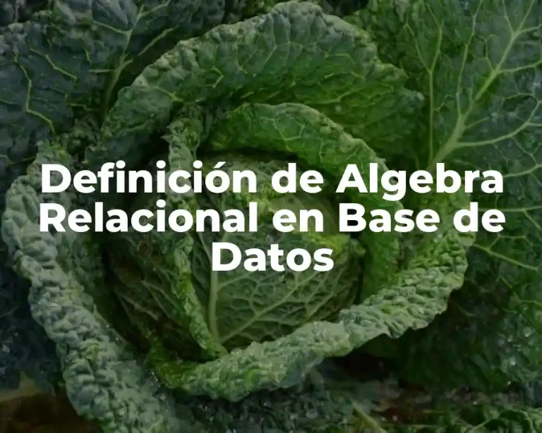 Definición de Algebra Relacional en Base de Datos