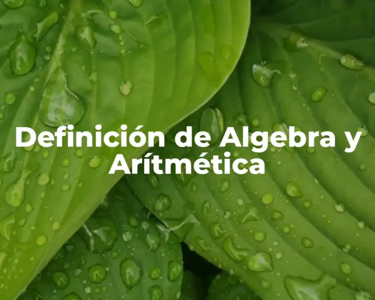 Definición de Algebra y Arítmética