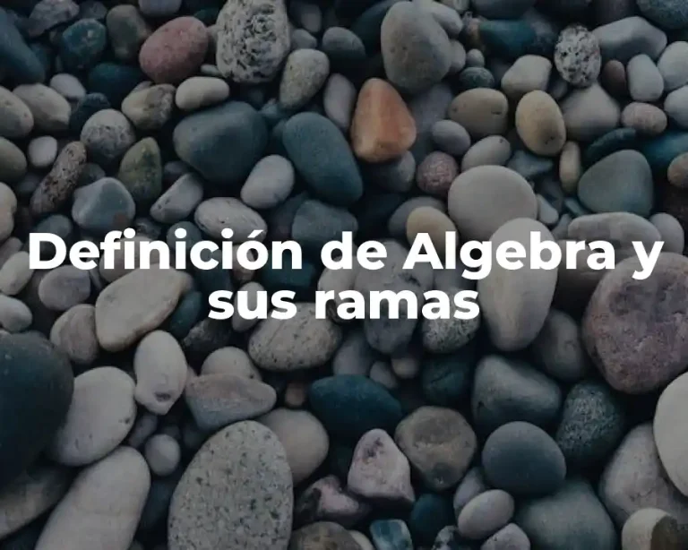 Definición de Algebra y sus ramas