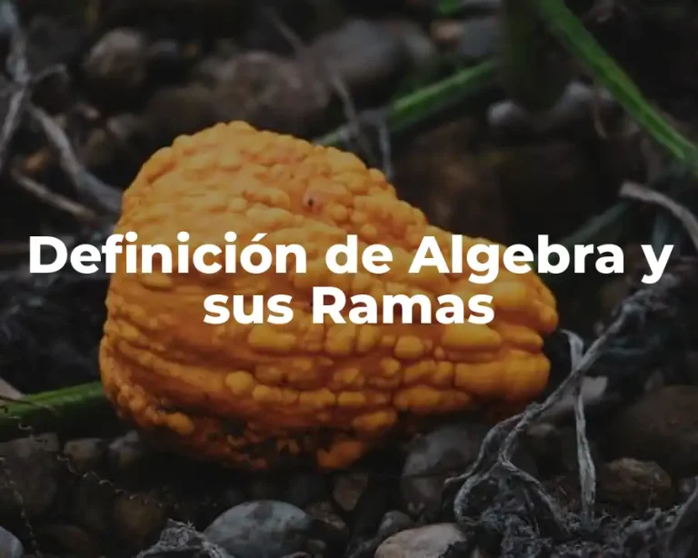 Definición de Algebra y sus Ramas