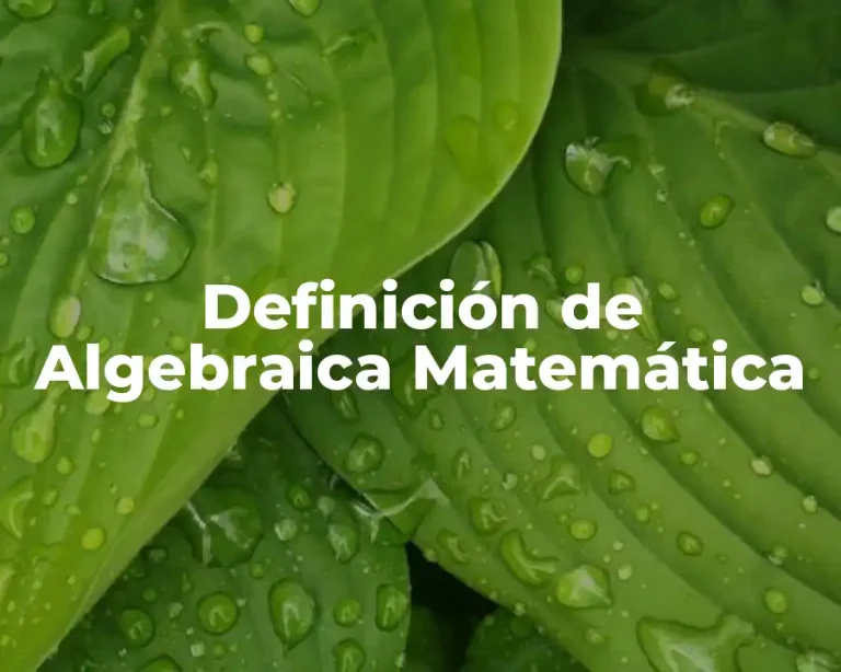 Definición de Algebraica Matemática