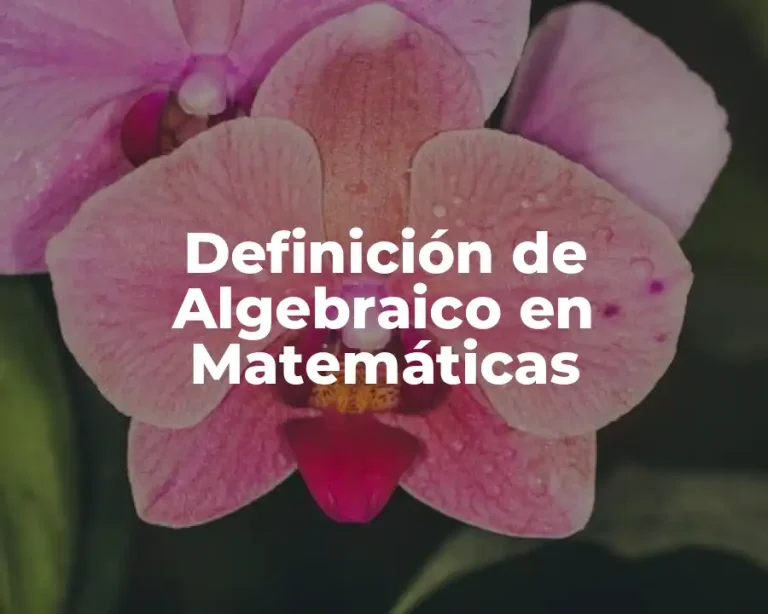 Definición de Algebraico en Matemáticas