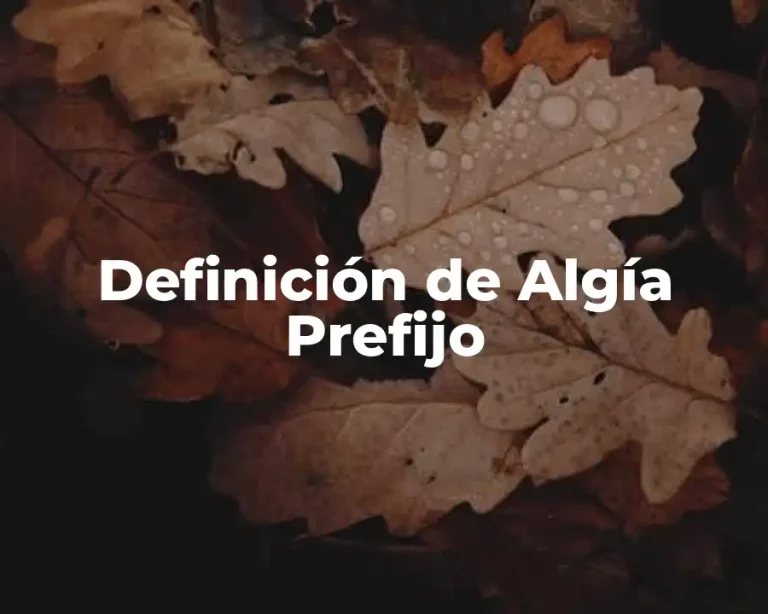 Definición de Algía Prefijo