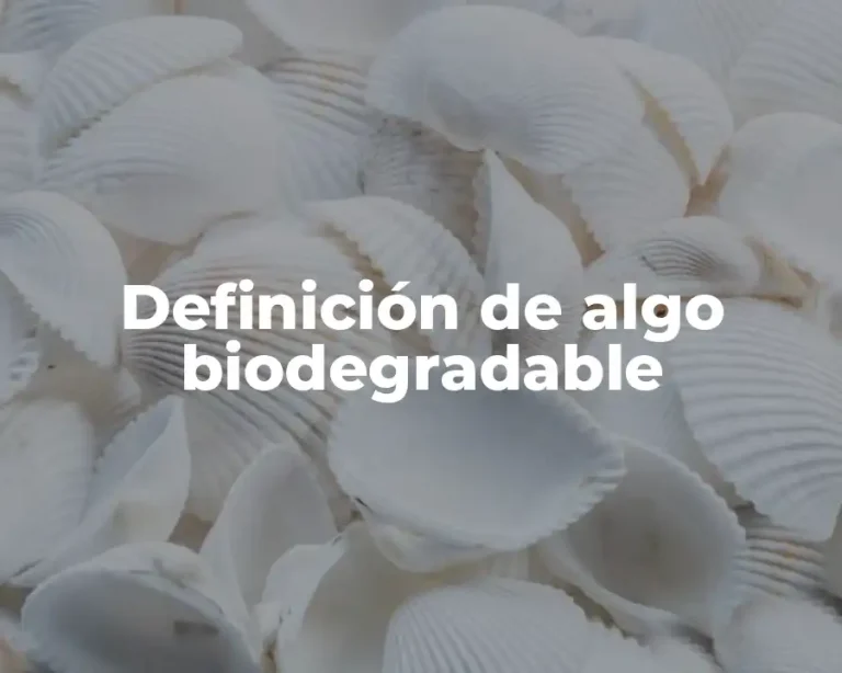Definición de algo biodegradable