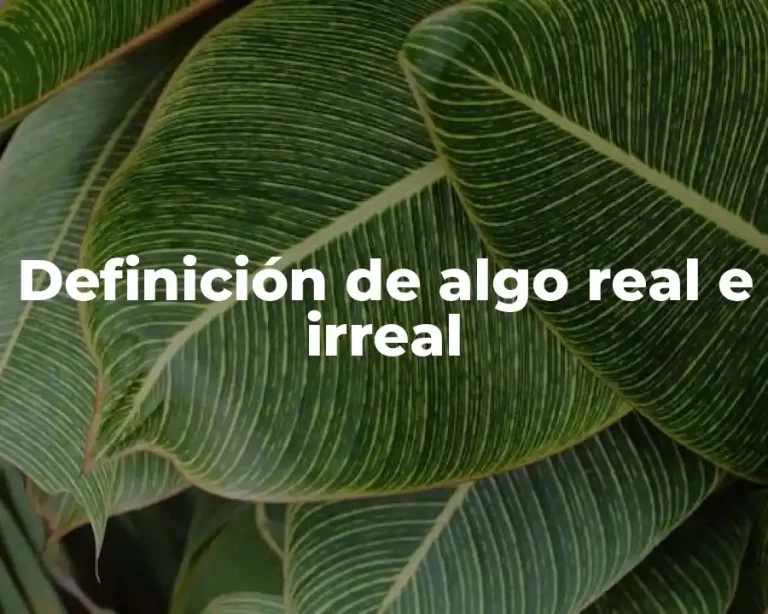 Definición de algo real e irreal
