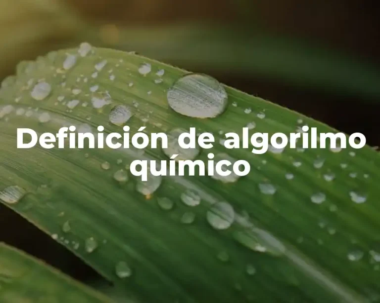 Definición de algorilmo químico