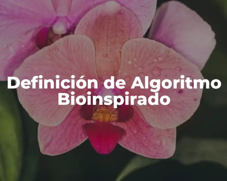 Definición de Algoritmo Bioinspirado