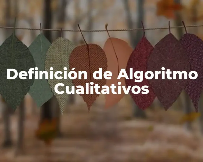 Definición de Algoritmo Cualitativos