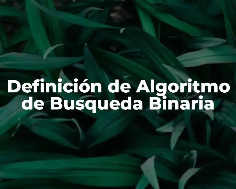 Definición de Algoritmo de Busqueda Binaria