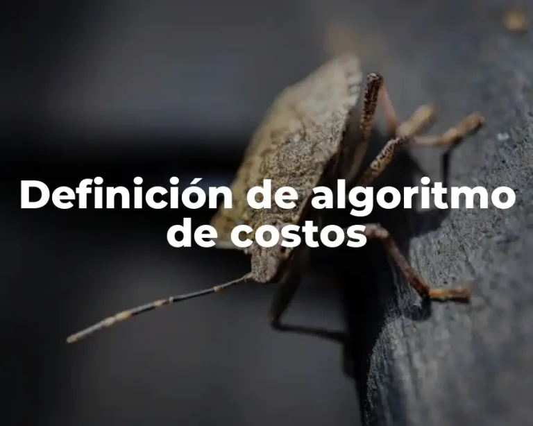 Definición de algoritmo de costos