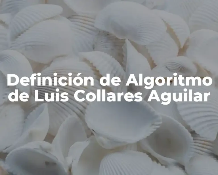 Definición de Algoritmo de Luis Collares Aguilar