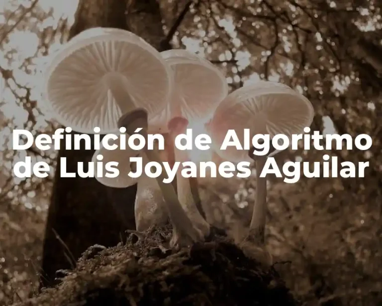 Definición de Algoritmo de Luis Joyanes Aguilar