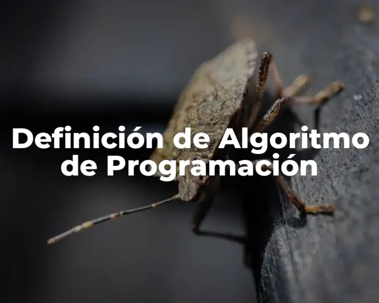 Definición de Algoritmo de Programación