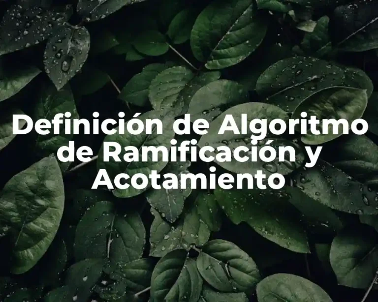 Definición de Algoritmo de Ramificación y Acotamiento
