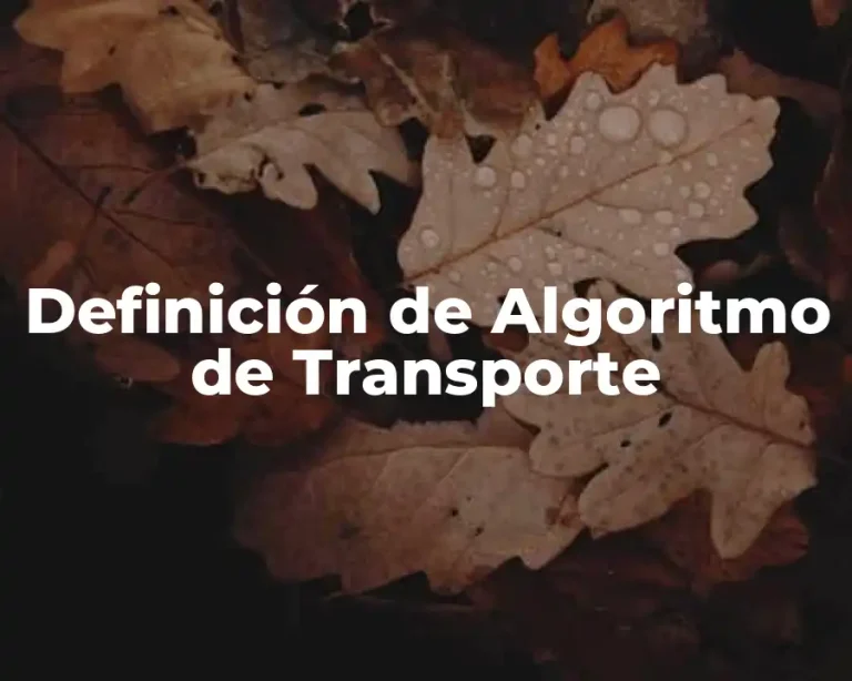 Definición de Algoritmo de Transporte