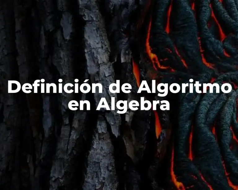 Definición de Algoritmo en Algebra