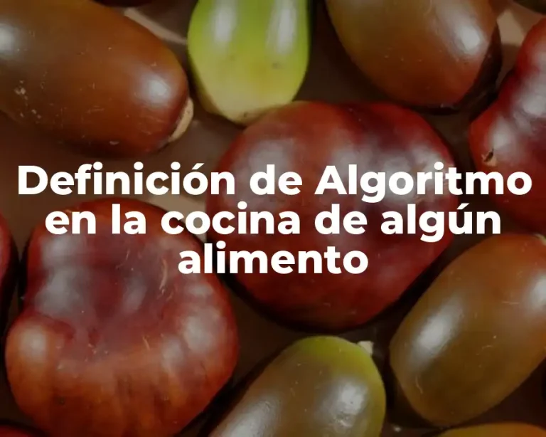Definición de Algoritmo en la cocina de algún alimento