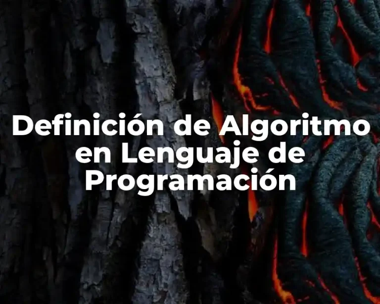 Definición de Algoritmo en Lenguaje de Programación